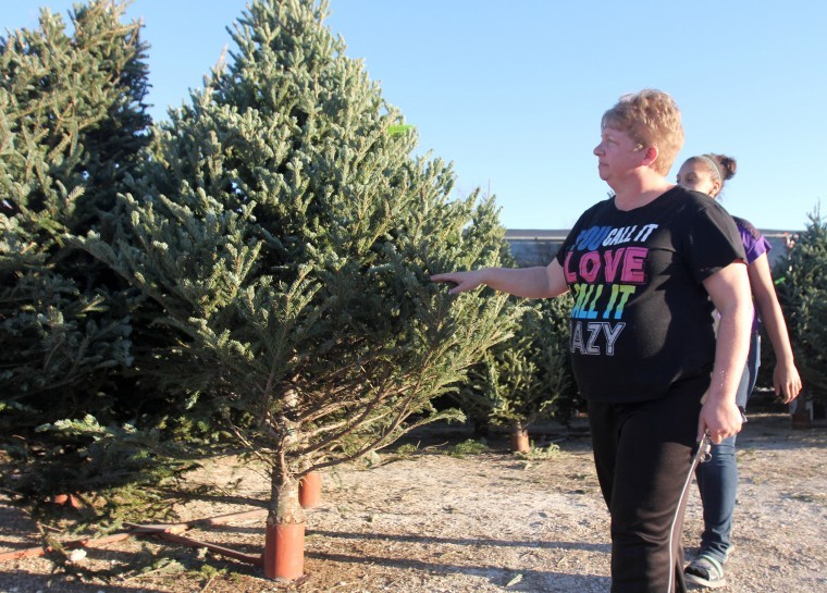 Christmas Tree Lot